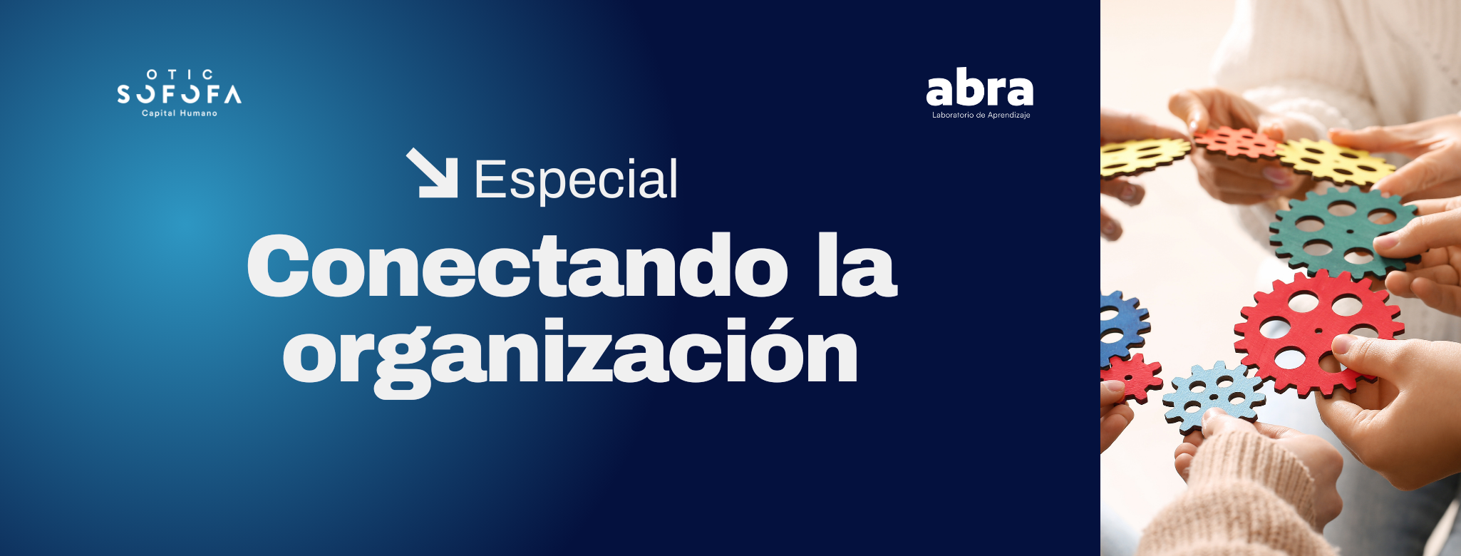 Especial Conectando la organización