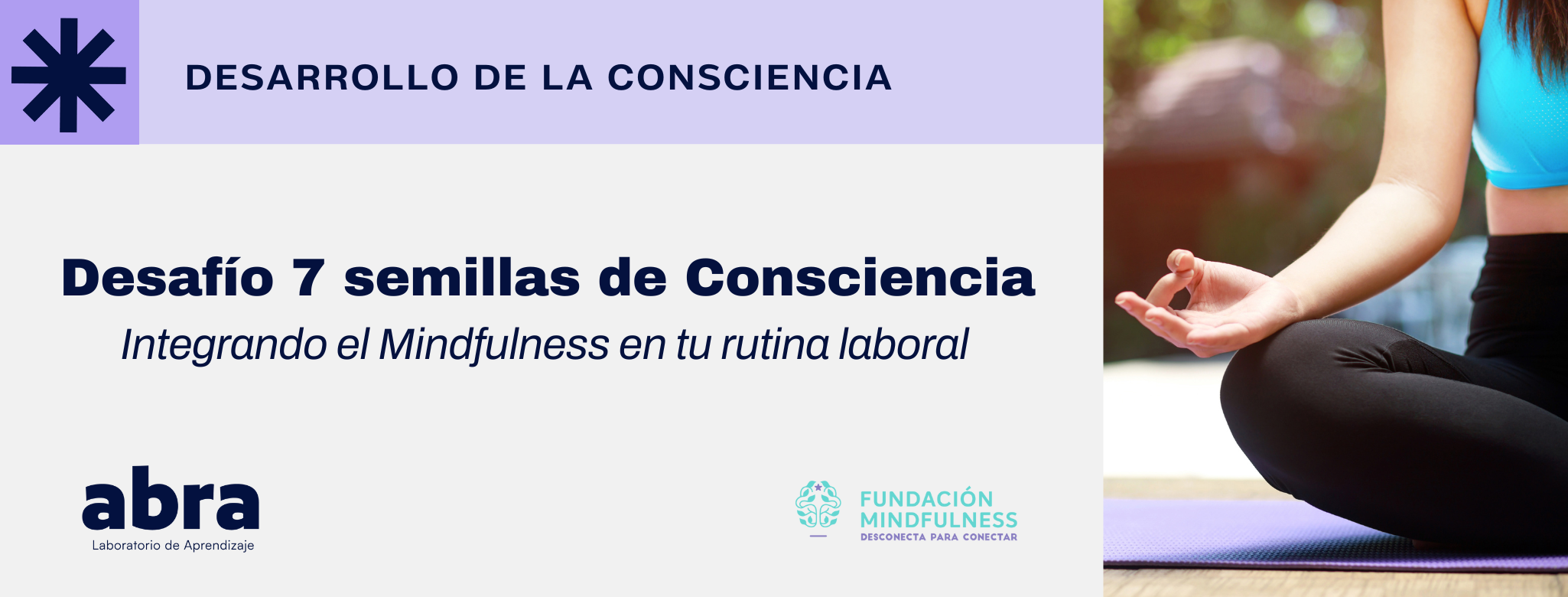 Desafío 7 Semillas de Consciencia