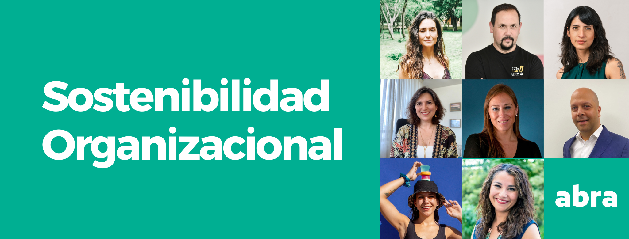 Sostenibilidad Organizacional